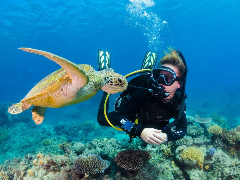 Diving in Australia's Great Barrier Reef