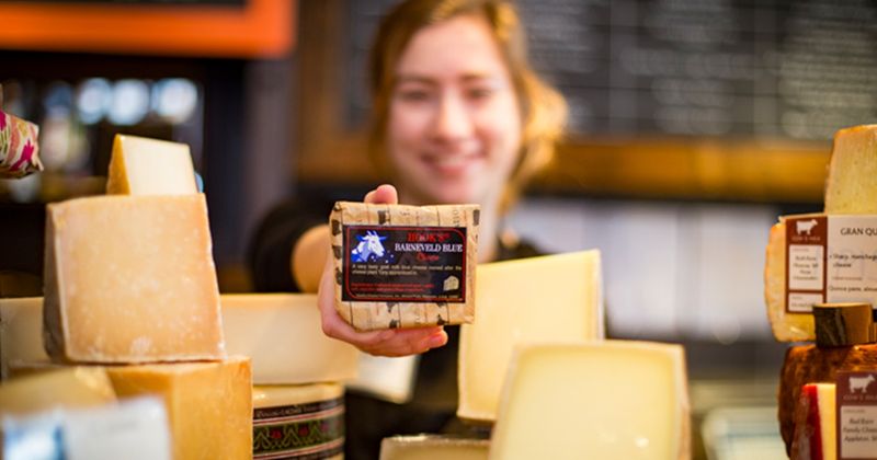Sampling Cheese in Wisconsin's Dairyland