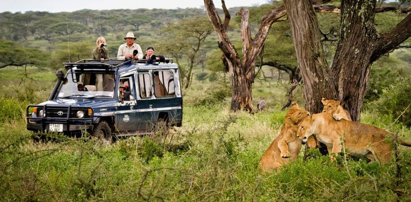 Safari in Serengeti