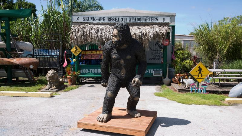 Skunk Ape Research Headquarters