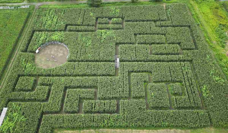 Giant Maze Park