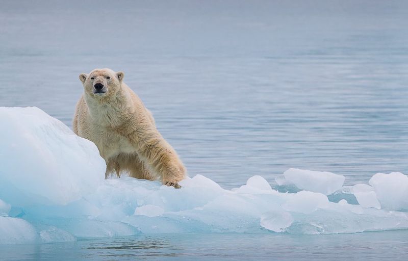 Svalbard, Norway