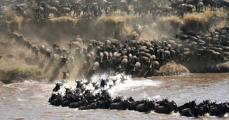 Serengeti National Park