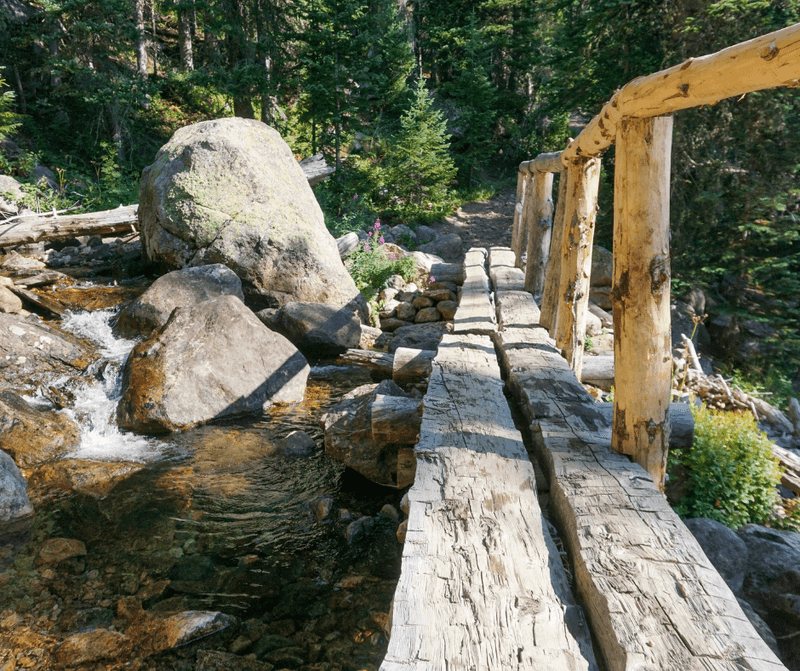 Hiking Through Nature Trails