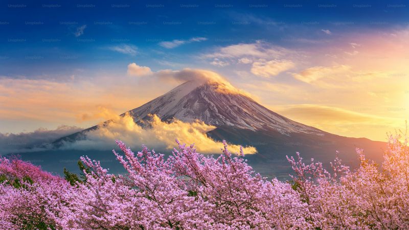 Mount Fuji's Cherry Blossom Frame