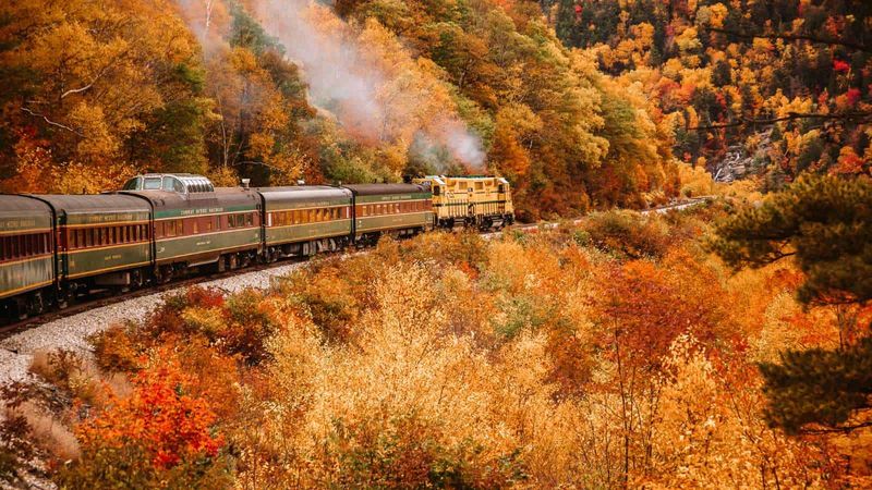 Appalachian Highlander