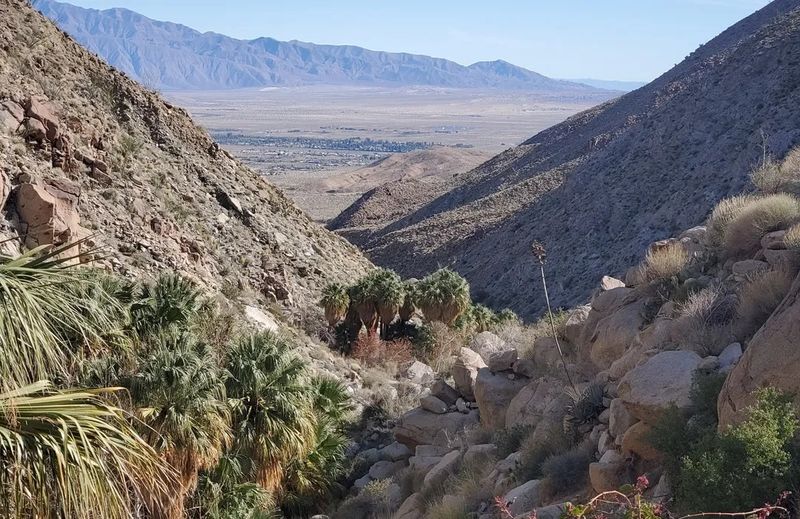 Hiking in the Enchanting Anza-Borrego Desert