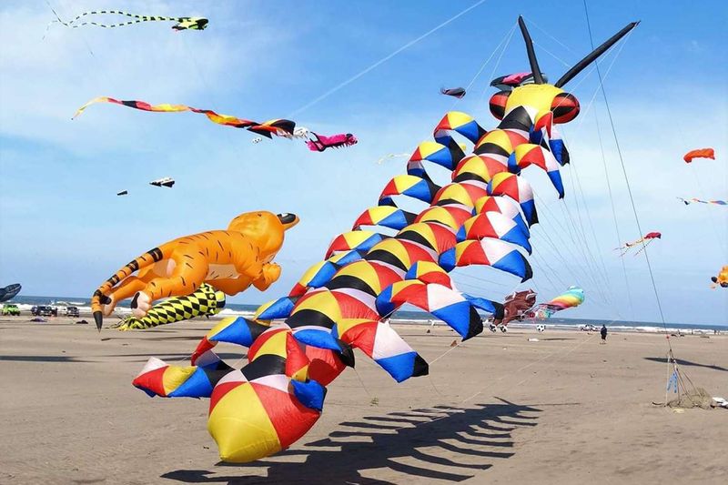Kite-Flying Haven of Long Beach