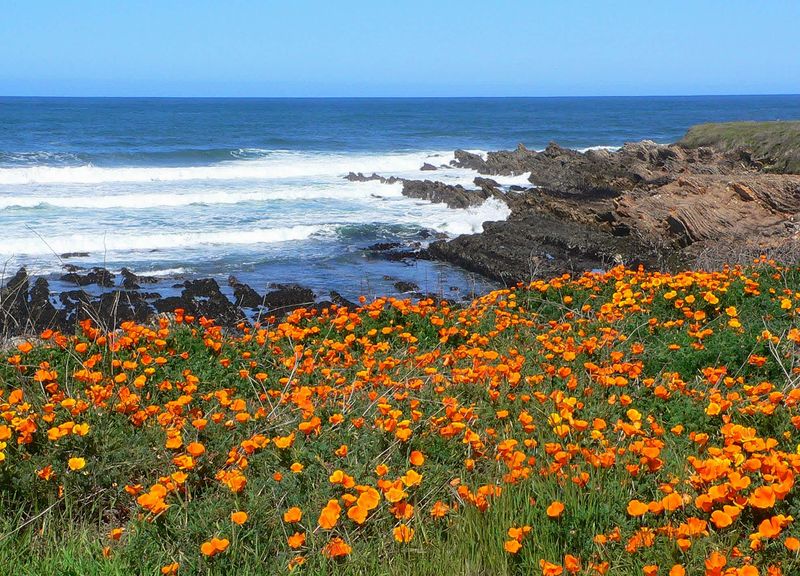Montaña de Oro State Park