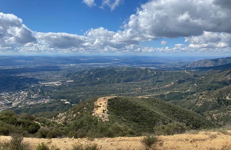 Angeles National Forest