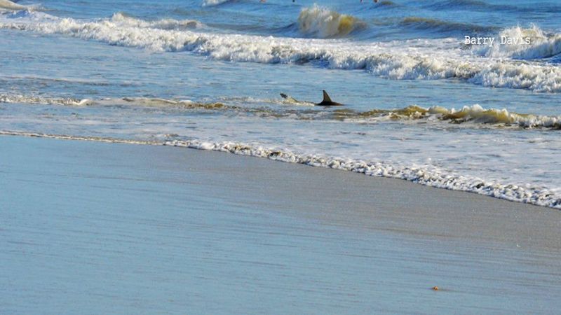 New Smyrna Beach, Florida