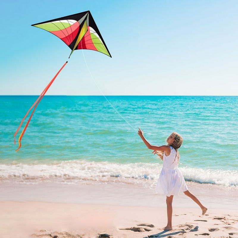 Kite Flying