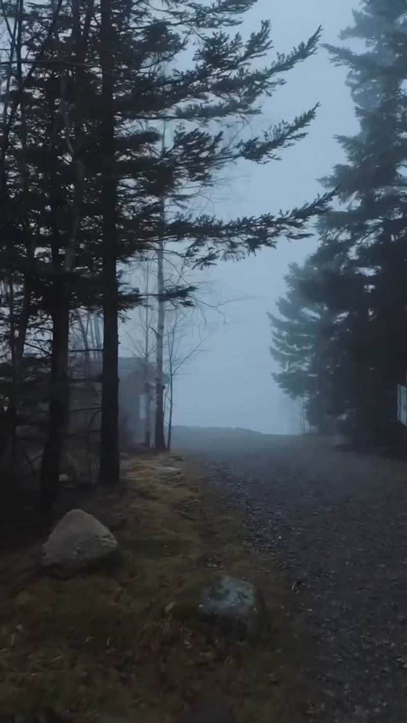 Whispering Pines