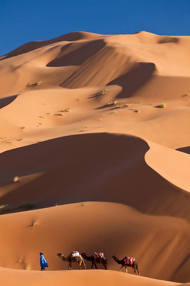 Sahara Desert