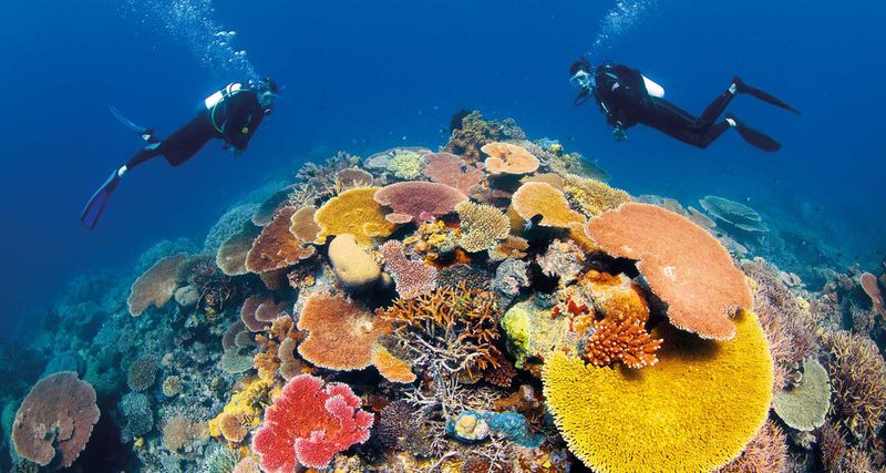 Great Barrier Reef Marine Park