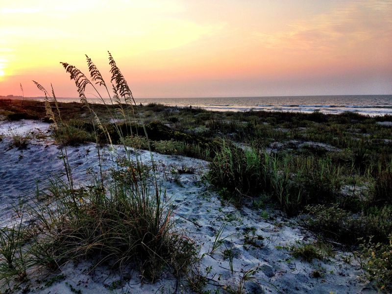 Beachwalker Park, South Carolina