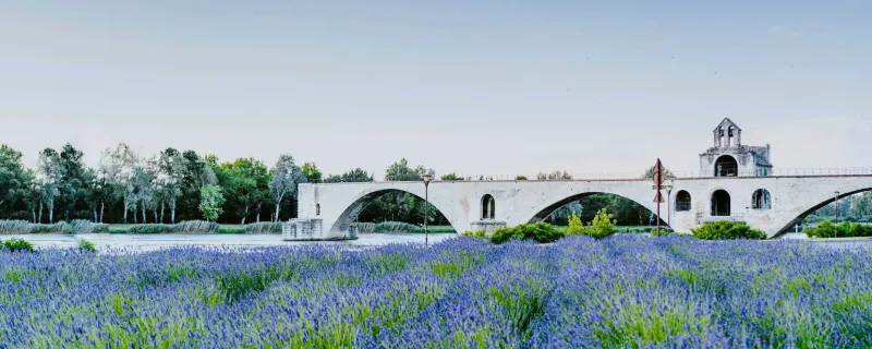Rhone River