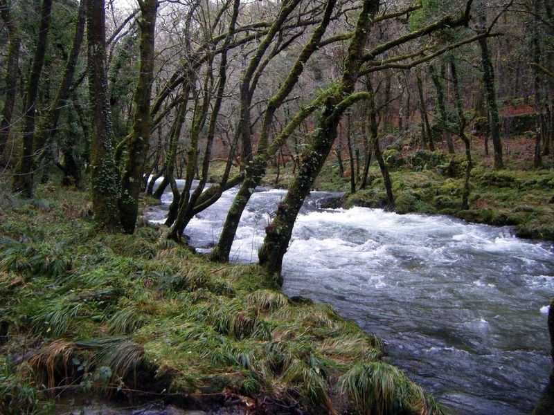 Oitavén River
