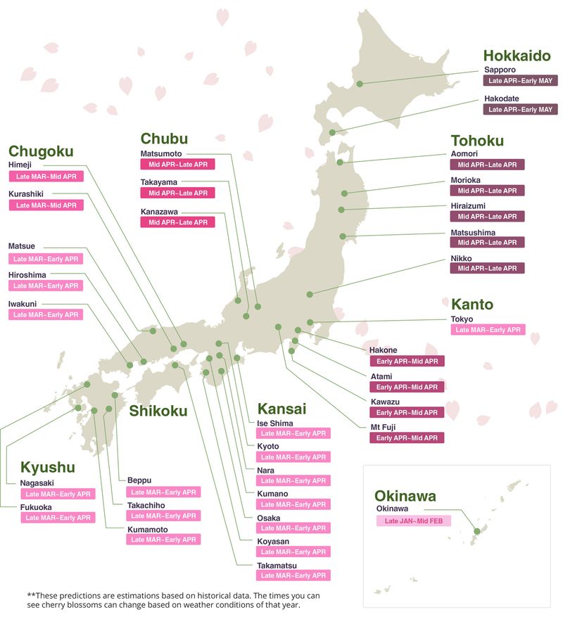 Cherry Blossom Viewing Spots
