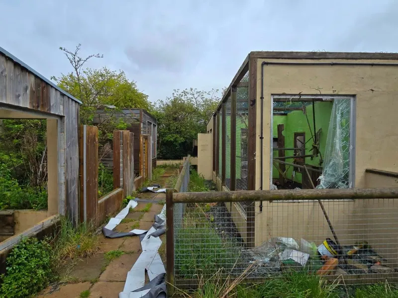 Deserted Zoo