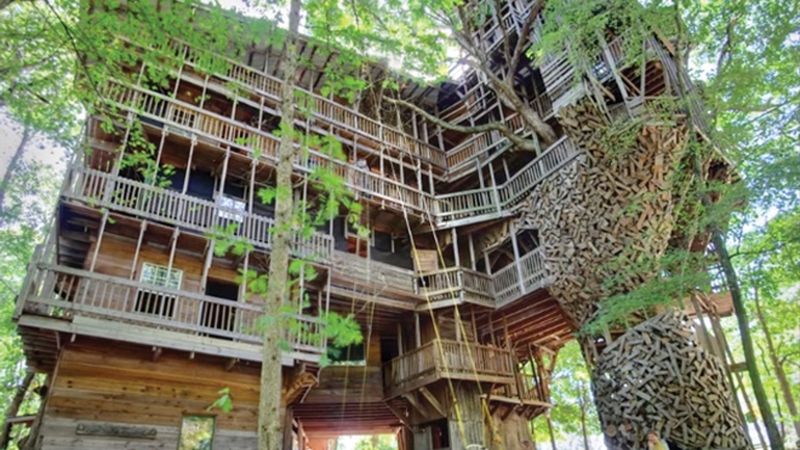 Luxury Treehouse Resort