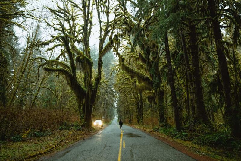 Forks, Washington