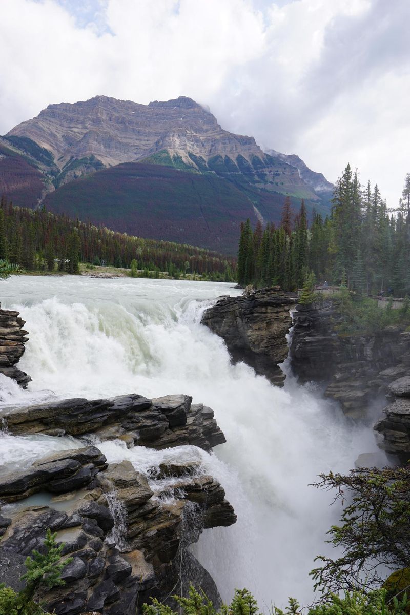 Jasper National Park