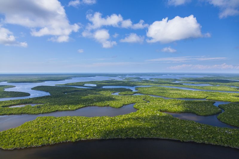 Everglades National Park