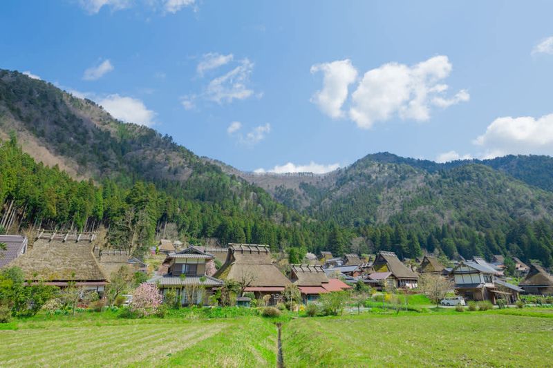 Miyama's Thatched Roofs