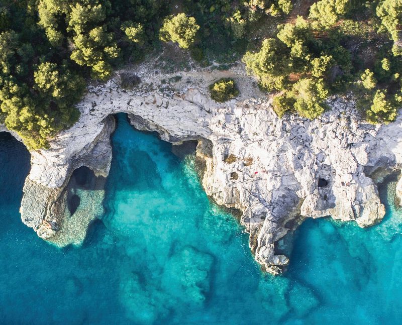 Cobalt Coast