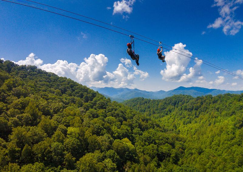Forest Canopy Zipline