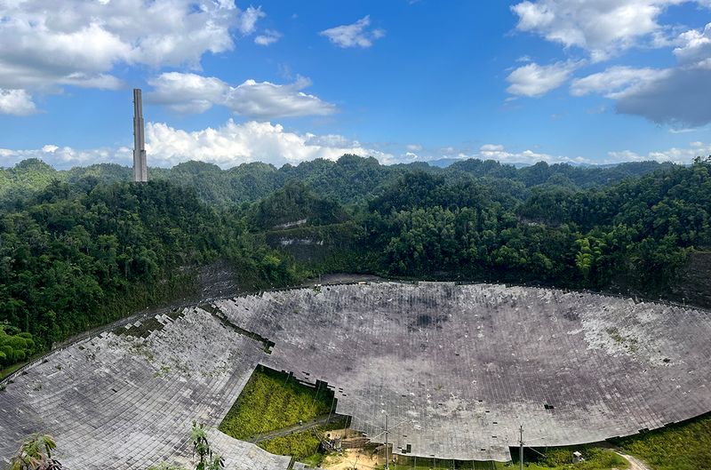 Cloud Forest Observatory