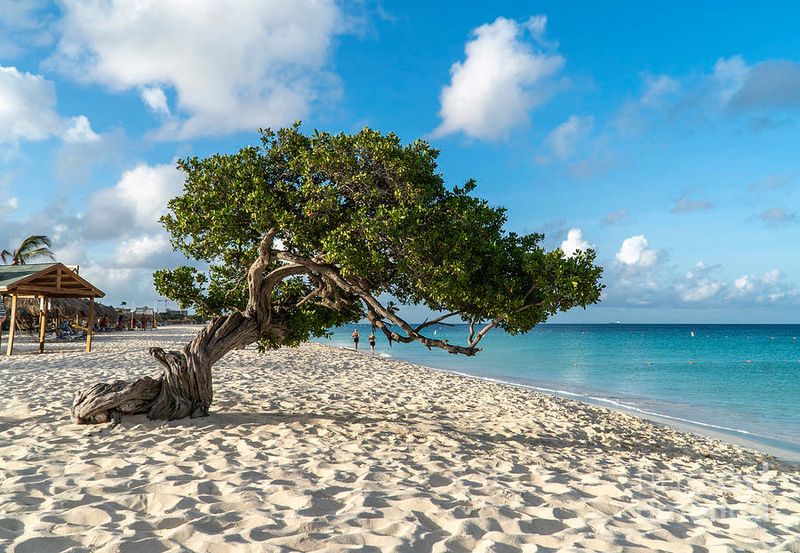 Eagle Beach, Aruba