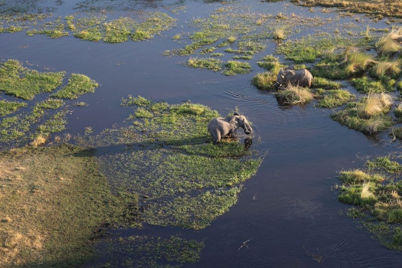 Okavango Delta
