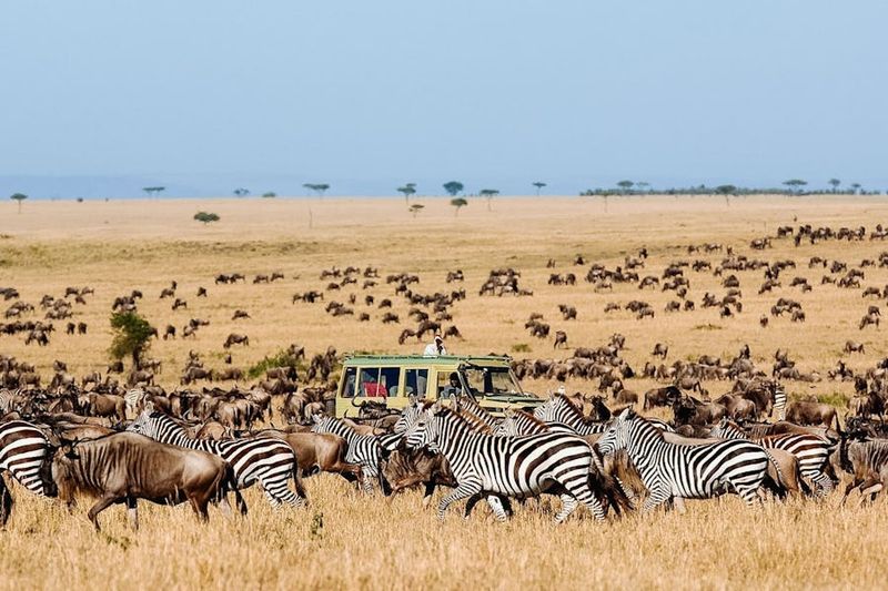 Serengeti National Park
