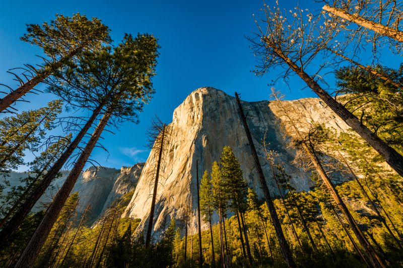 Yosemite National Park