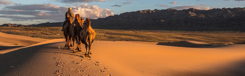 Gobi Desert, Mongolia