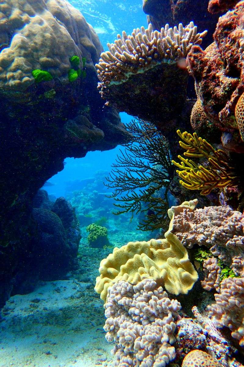 Great Barrier Reef, Australia