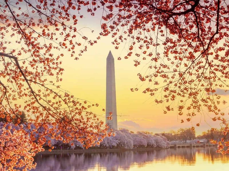 Washington Monument