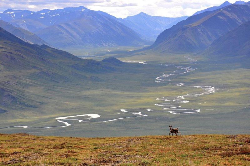 Gates of the Arctic National Park, Alaska
