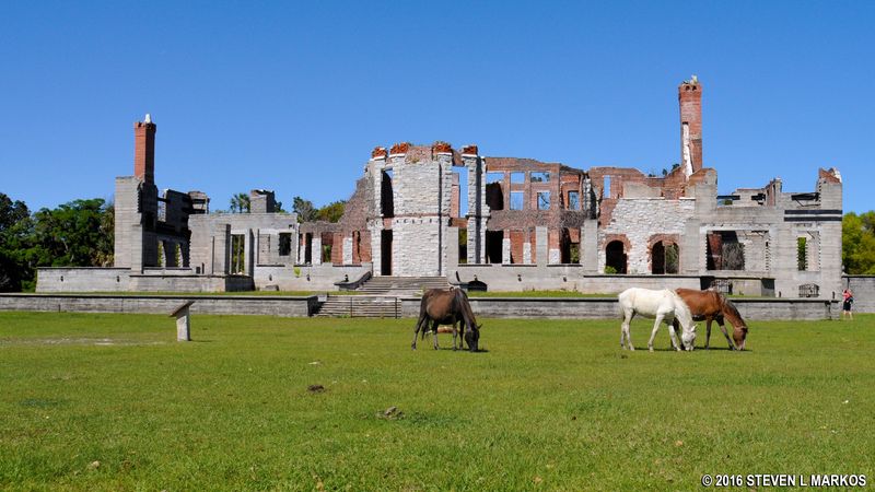 Cumberland Island, Georgia