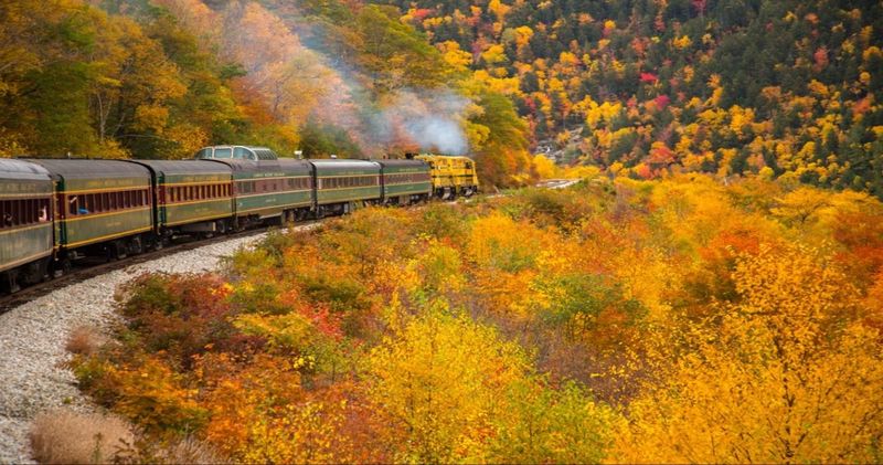 The New England Leaf Peeper