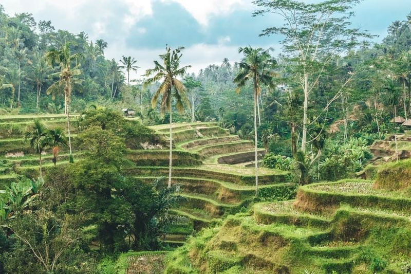 Indonesia