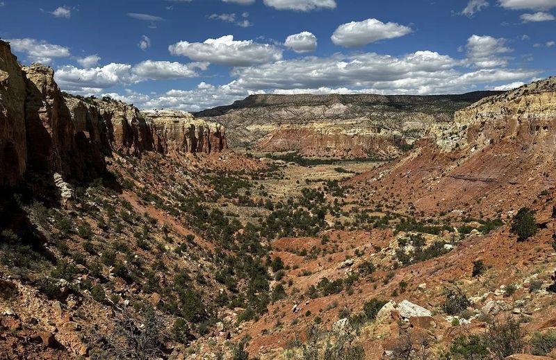 Carson National Forest