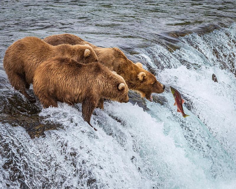 Katmai National Park