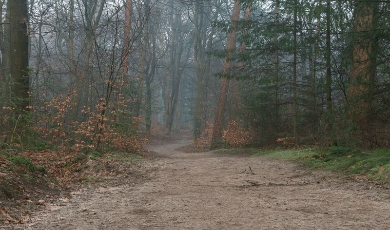 Lochemse Berg