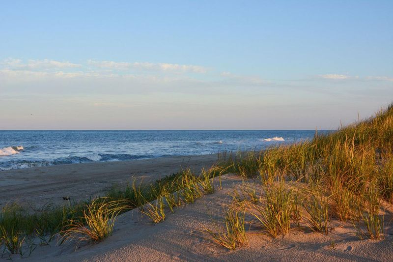 Pea Island