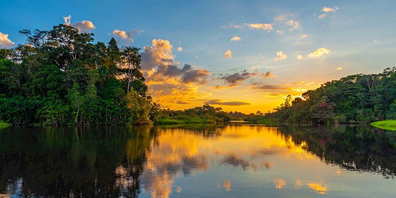 Amazon Rainforest, South America