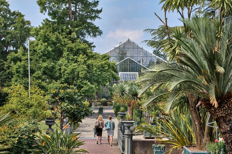 Leiden's Botanical Gardens