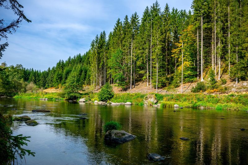 Bavarian Forest National Park, Germany